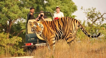 rajasthan-tour-with-wildlife-safari-15-days